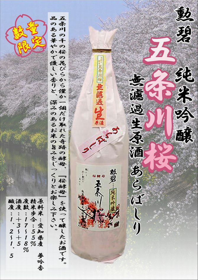勲碧五条川桜表20191