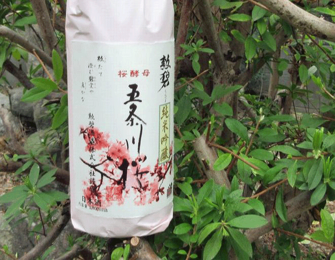 勲碧五条川桜純米吟醸あらばしり18001
