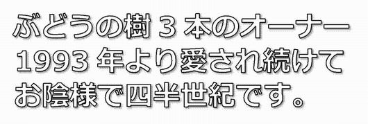 ぶどうの樹3本のオーナー201703