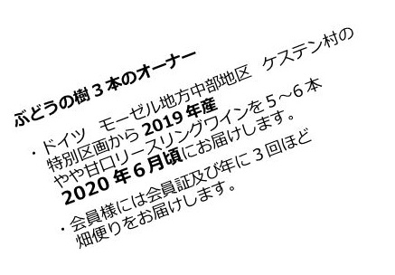 ぶどうの樹3本のオーナー201902