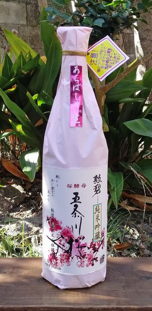 勲碧五条川桜生原酒18001