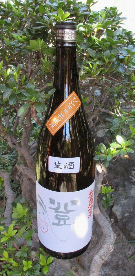 和田龍ひとごこち生18001