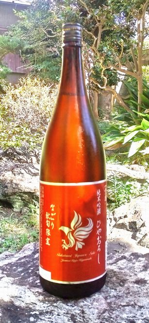 ひやおろしなごり18001