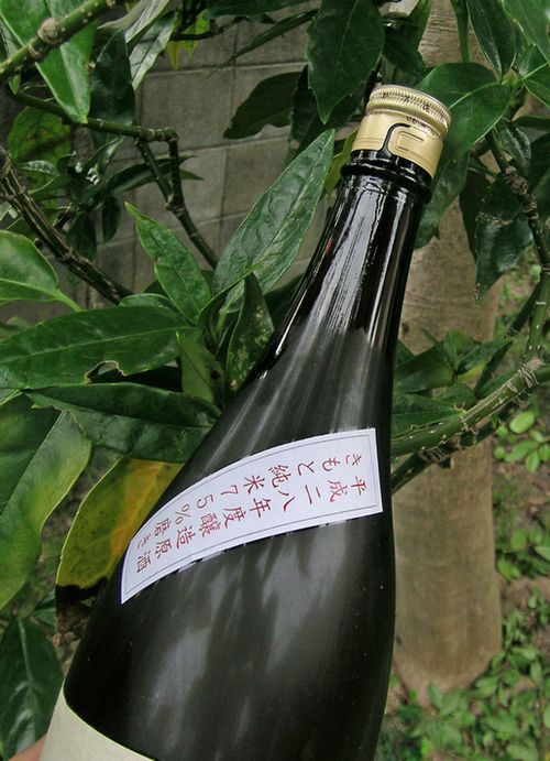 肥前蔵心生もと7501