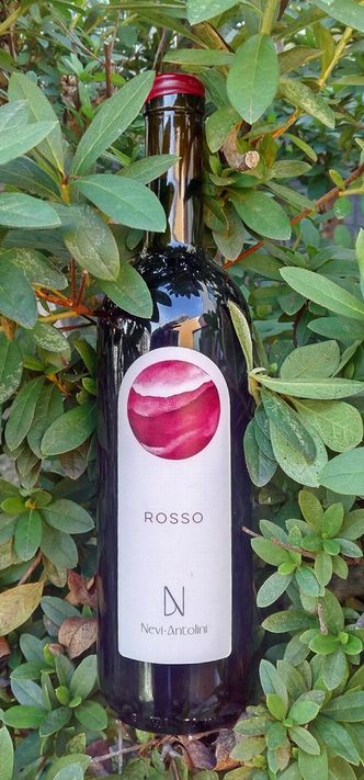 ネヴィヴィーノロッソ1