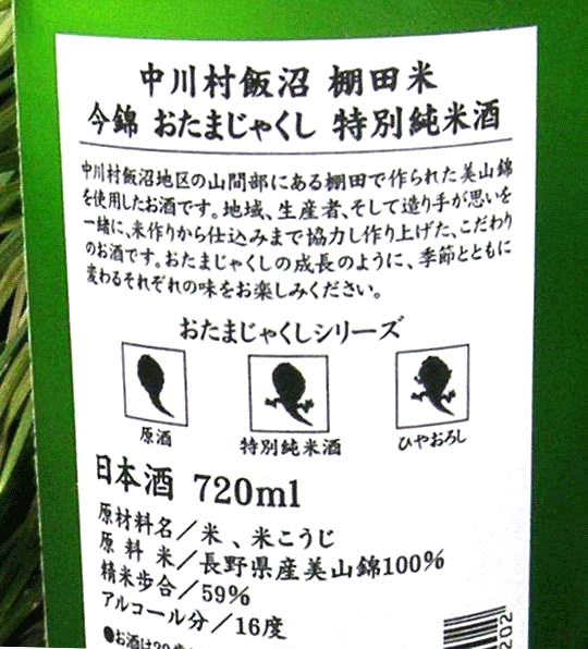 おたまじゃくし72002