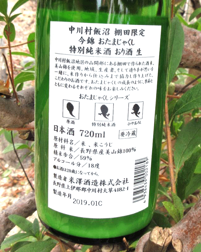 今錦おたまじゃくしおり酒7202