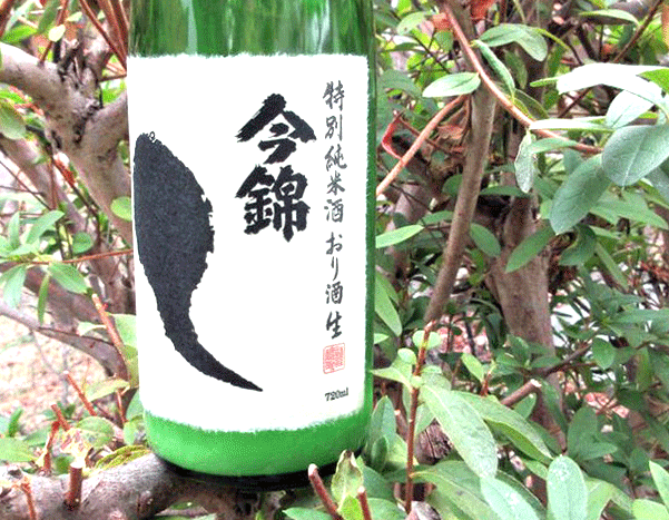 今錦おたまじゃくしおり酒7203