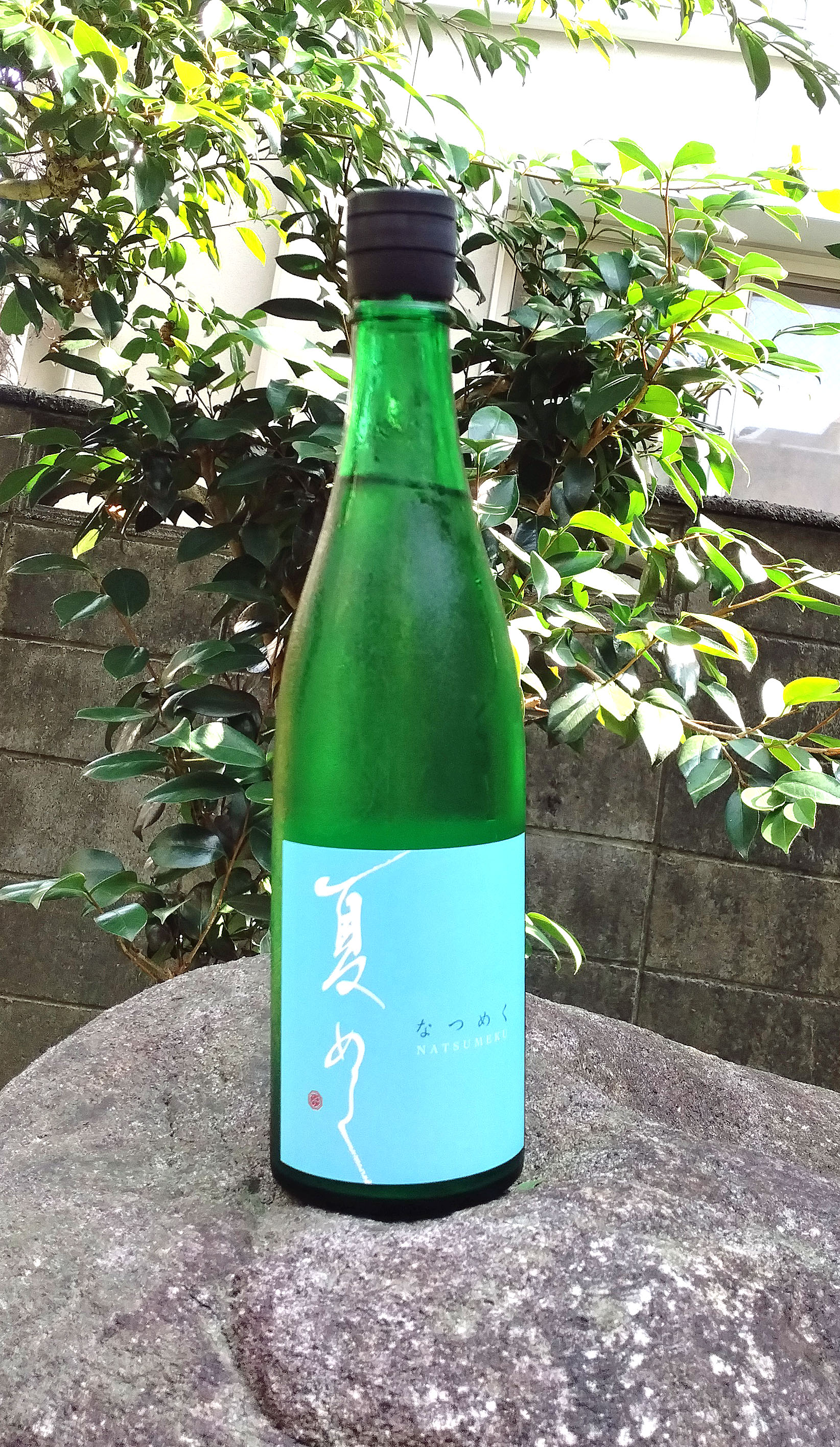 敷嶋夏めく7201