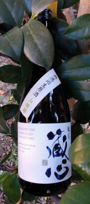 肥前蔵心純米吟醸無濾過生原酒7201