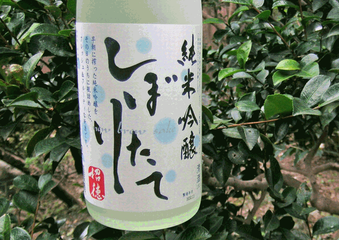 招徳純米吟醸しぼりたて1