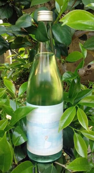 肥前蔵心ソルティパンチ7201