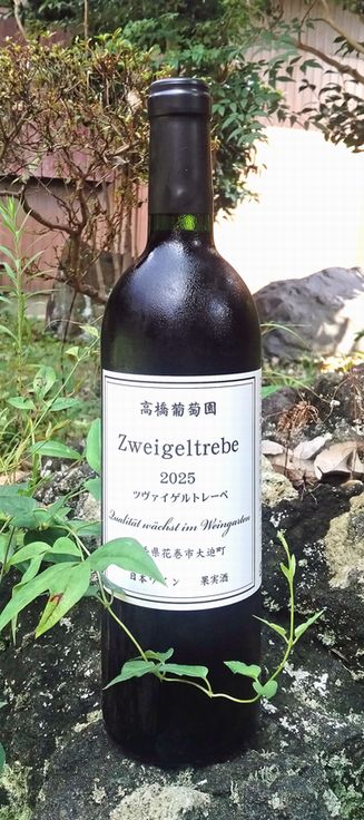 高橋葡萄園ツヴァイゲルトレーベ20251