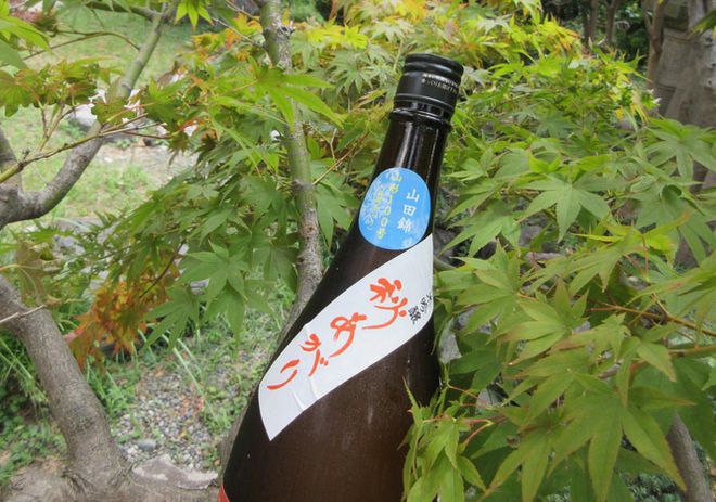 俵雪秋上がり山形100号