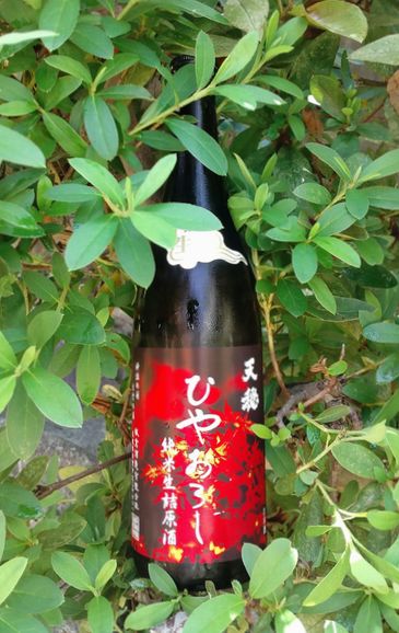 天穏ひやおろし20267201