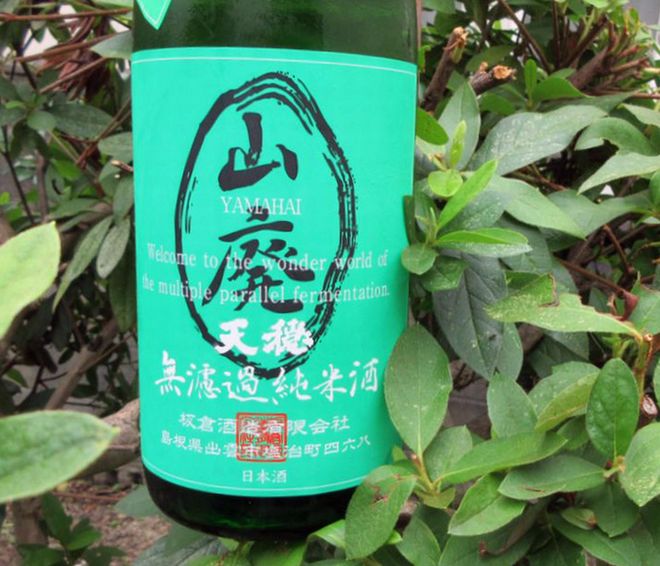 天穏山廃山田錦1