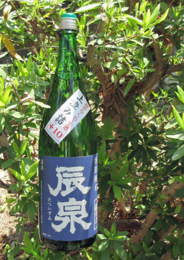 辰泉超辛口18001
