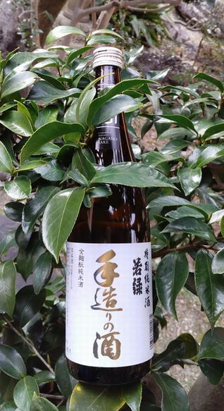 若緑全麴もと特別純米酒手造りの酒7201