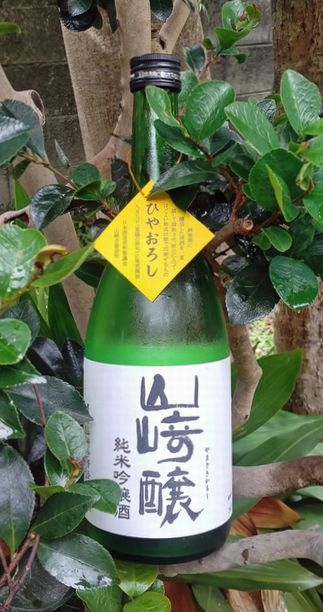 山崎醸ひやおろし7201